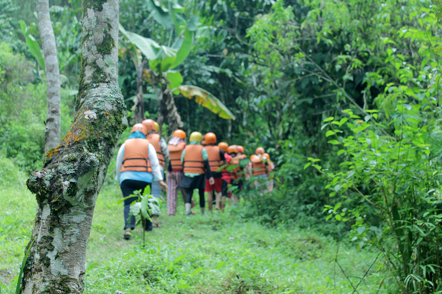 Trekking & Camp @ Curug Naga